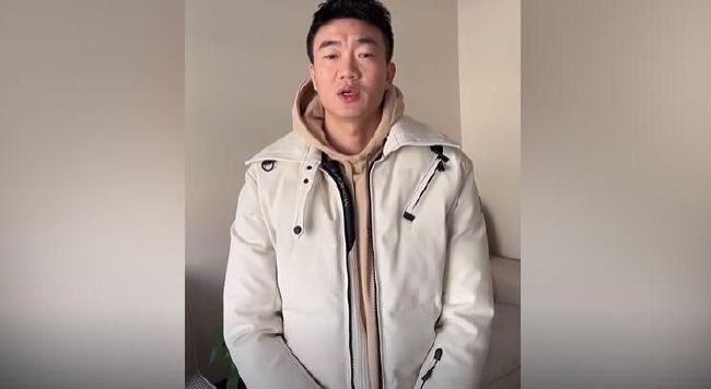 姐姐的爱情树