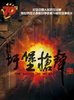 国产精品亚洲欧美一级久久精品