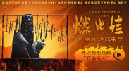 国产精品人妖系列