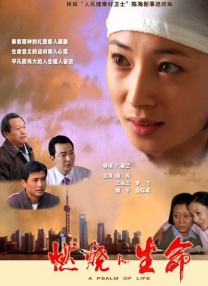 国产精品视频区