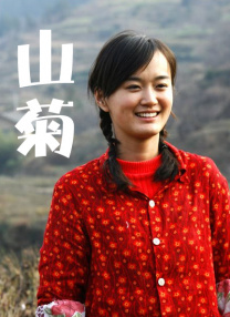 干网观看在线
