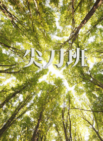 一区二区福利视频