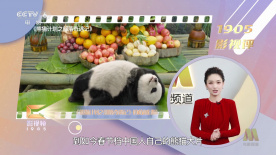 五月婷婷七月丁香